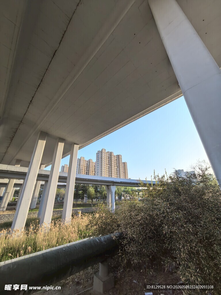 城市立交桥下的自然景象