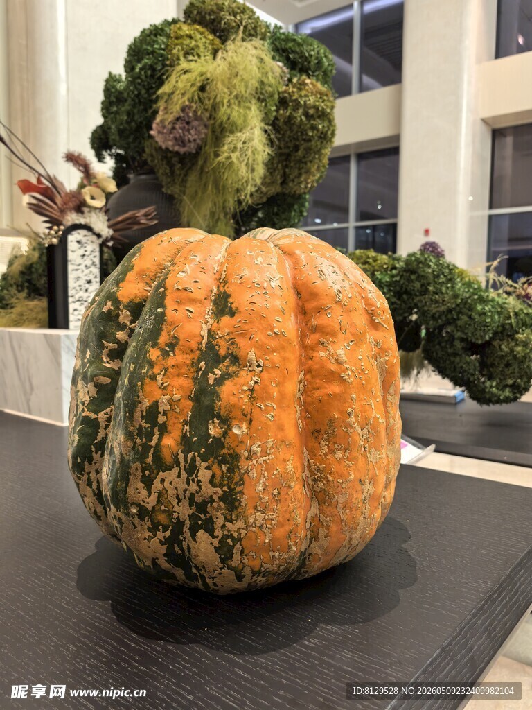 独特造型南瓜与绿植组合