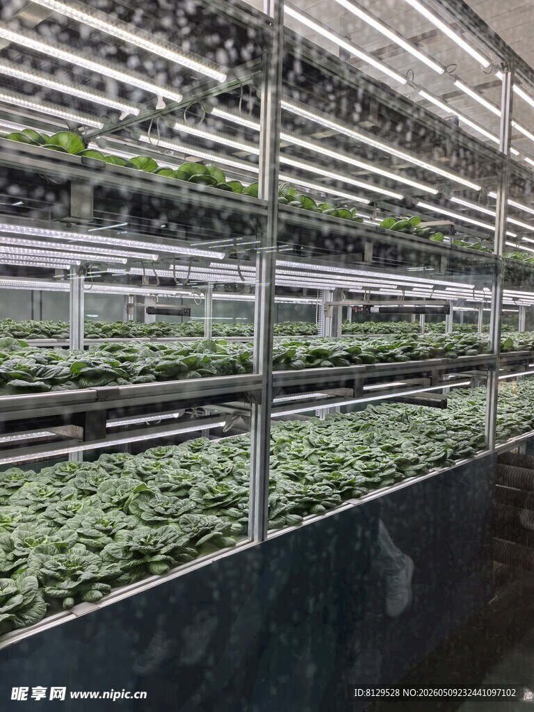 室内多层植物种植系统
