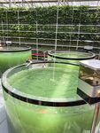 现代化水族馆养殖设施
