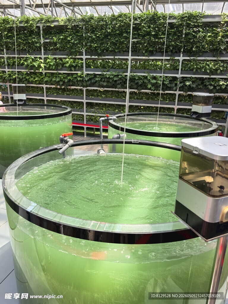 现代化水族馆养殖设施