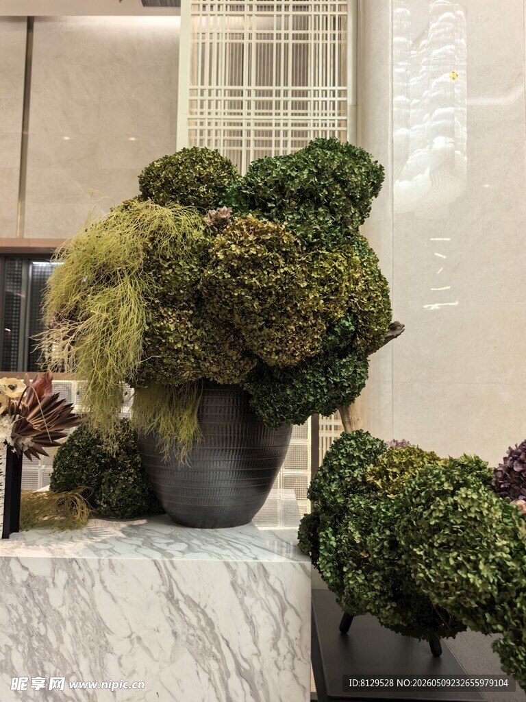 精致盆栽绿植展示