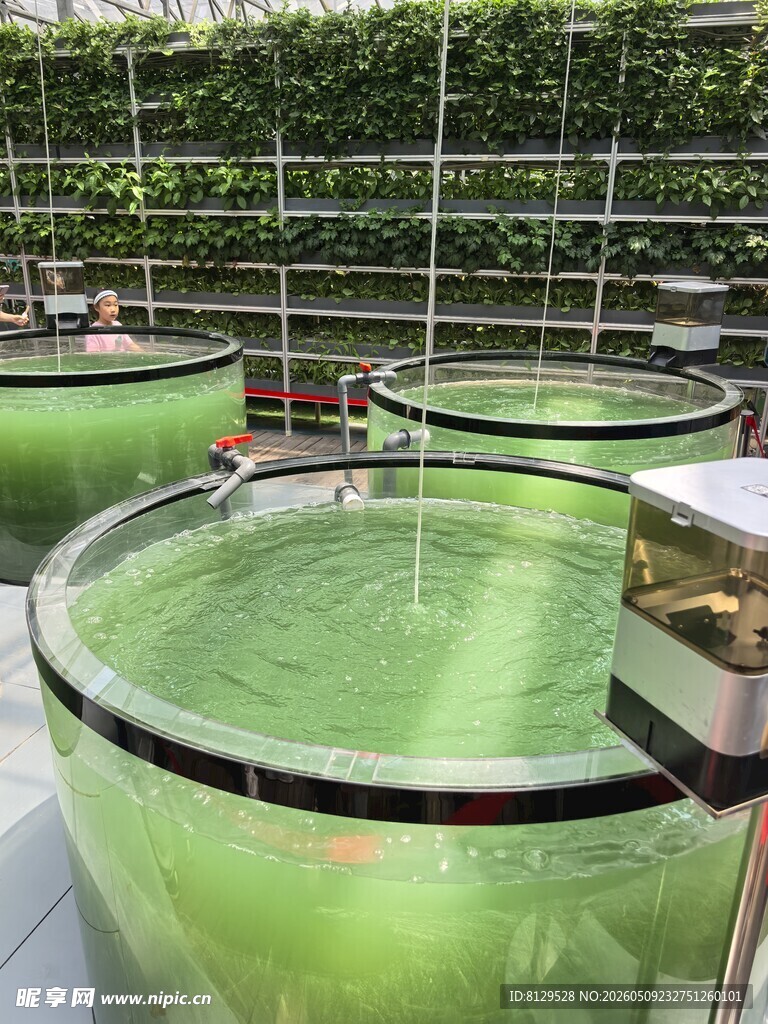 室内循环水生态养殖场景