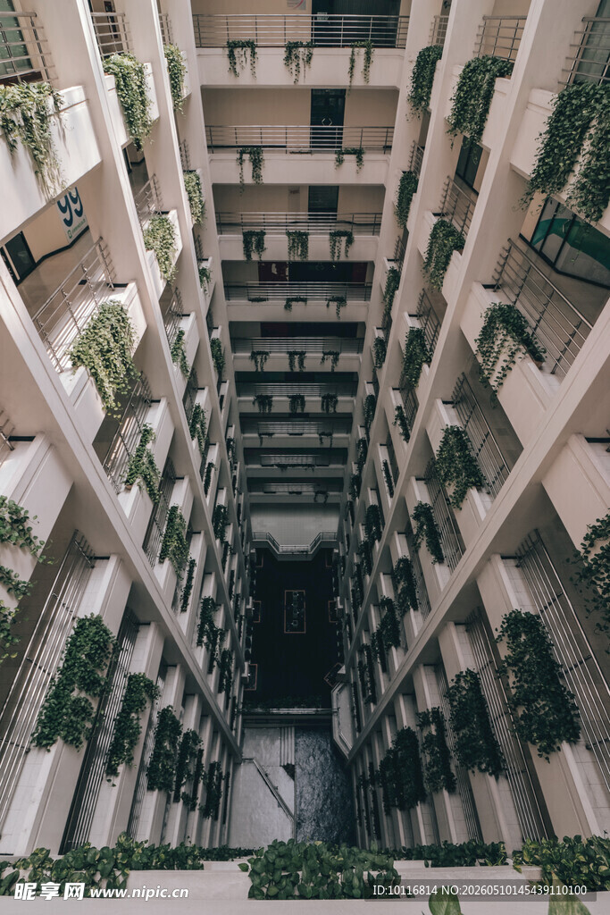 高楼建筑