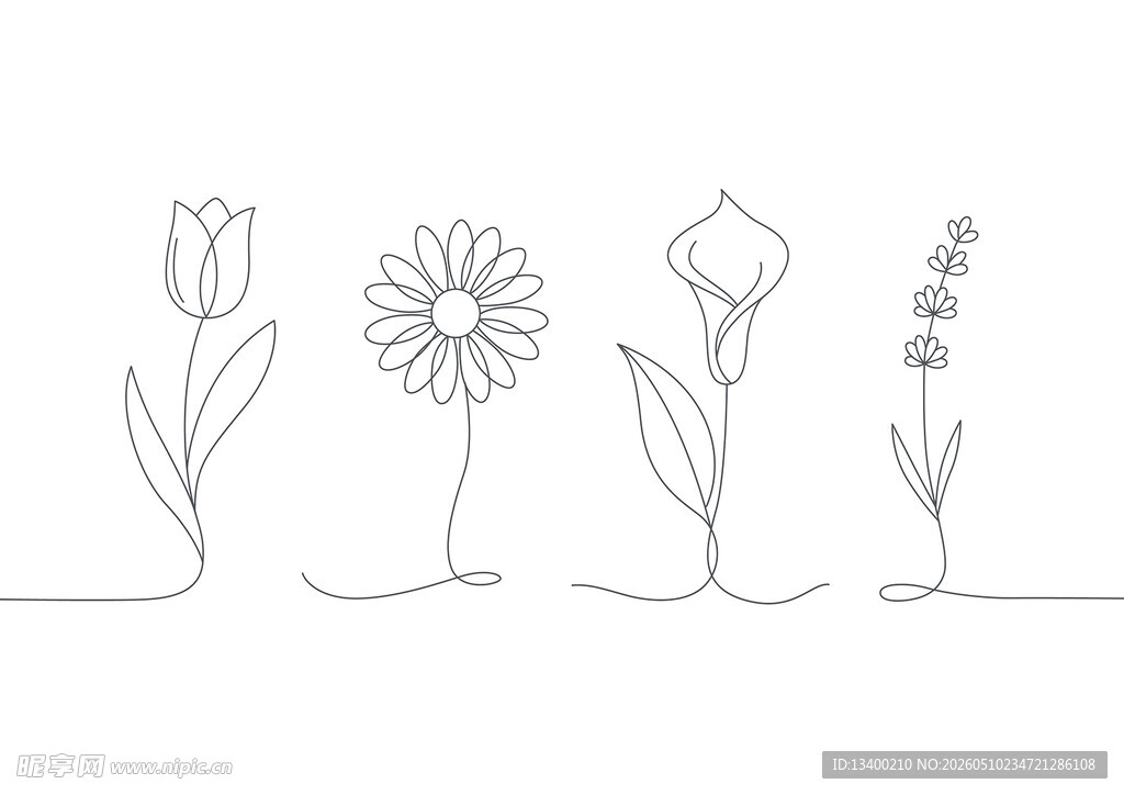简约线条花卉插画