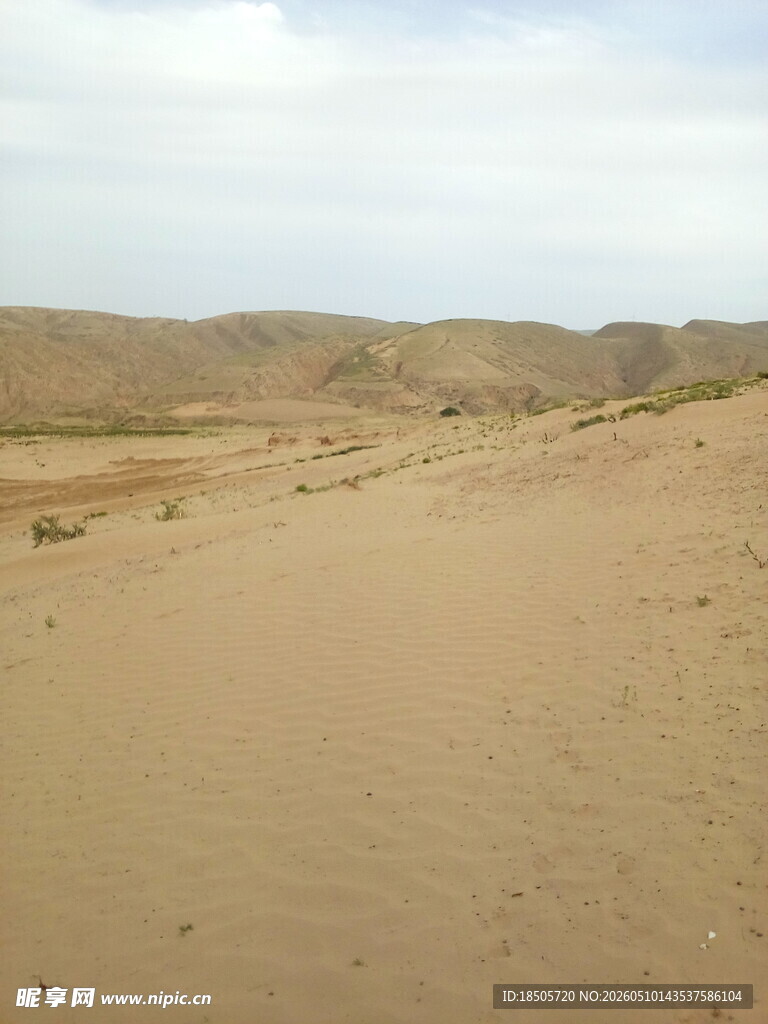 广袤沙漠景观