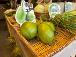 新鲜青茄子