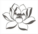 黑白莲花图案