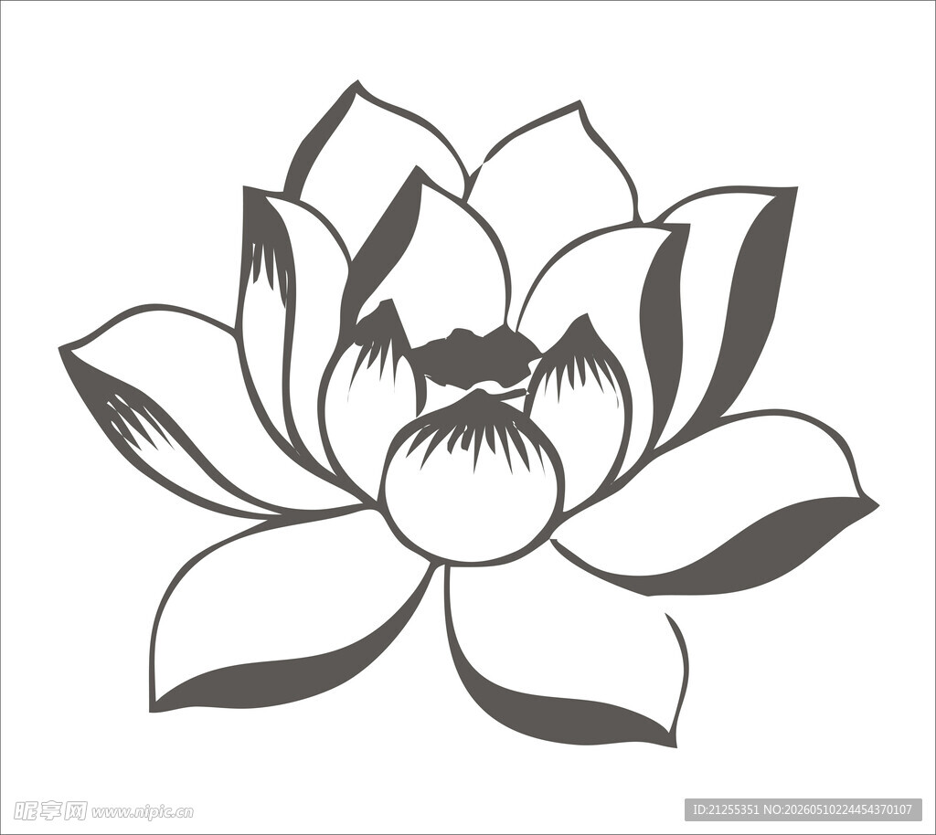 黑白莲花图案