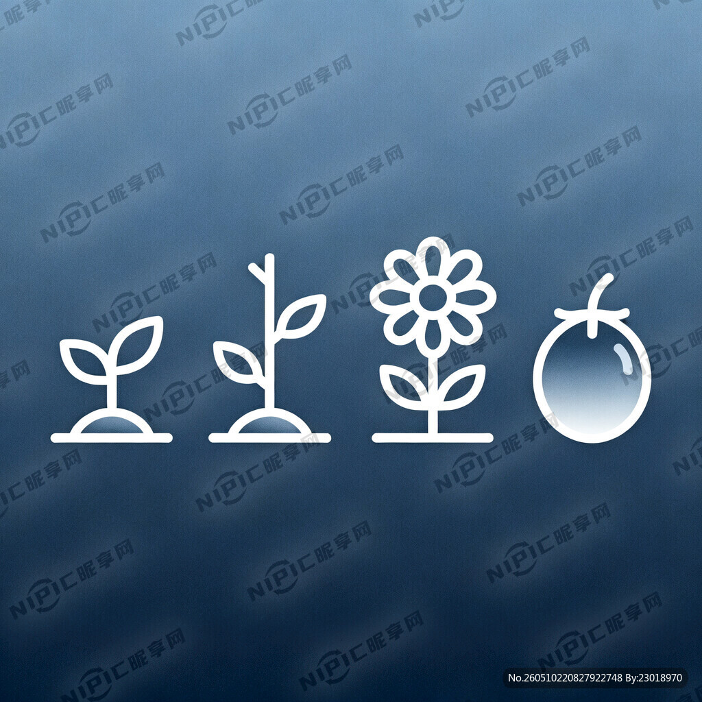 萌芽、成长、开花、结果图标