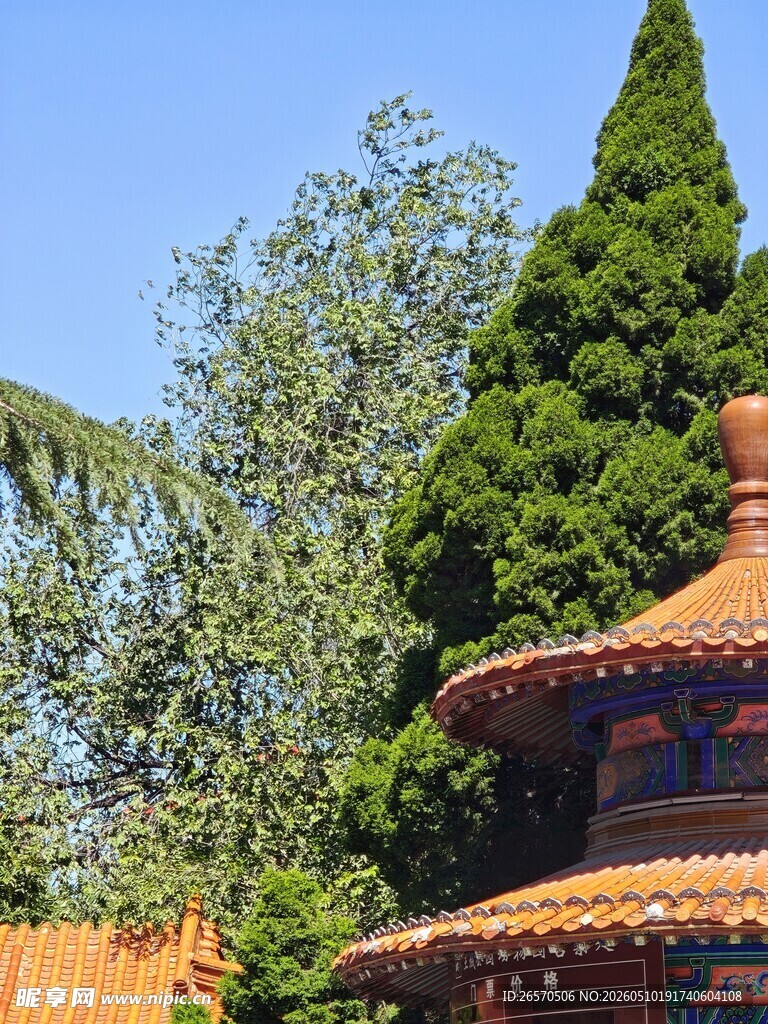 中式传统建筑屋顶景观