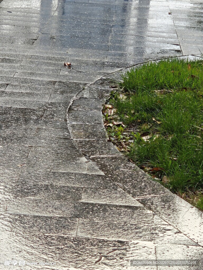 雨后湿润的草地与石板路