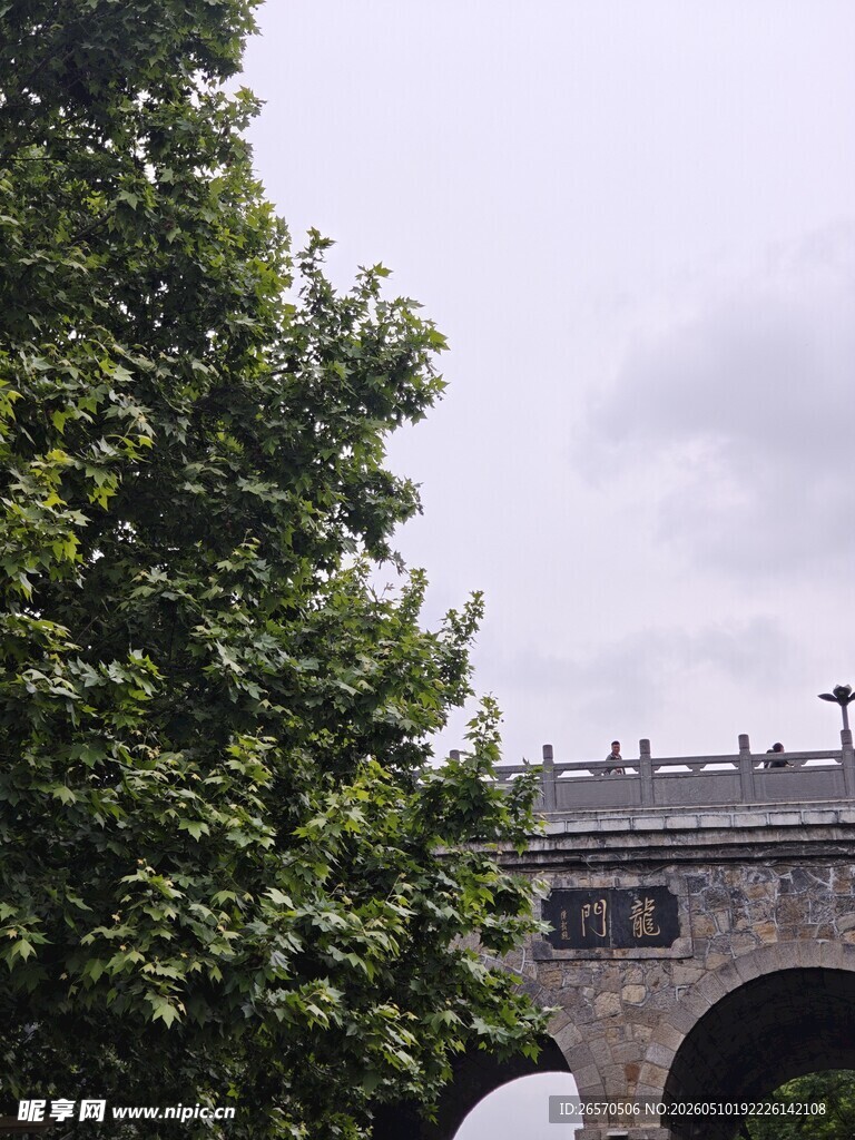 绿树掩映下的拱形石桥