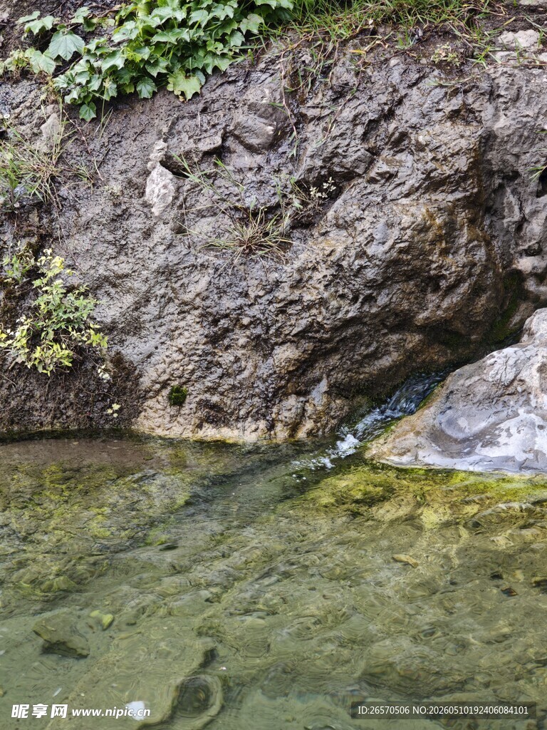 山间清泉与游动小鱼