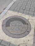 街道上的圆形金属井盖