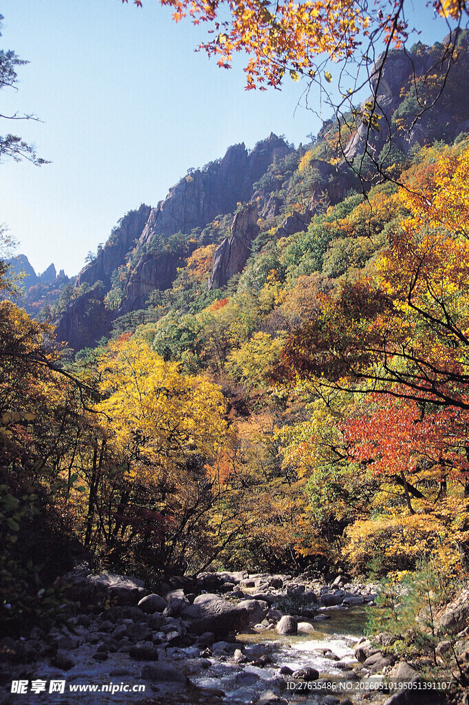 秋日山林溪流美景