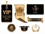 VIP 会员标签
