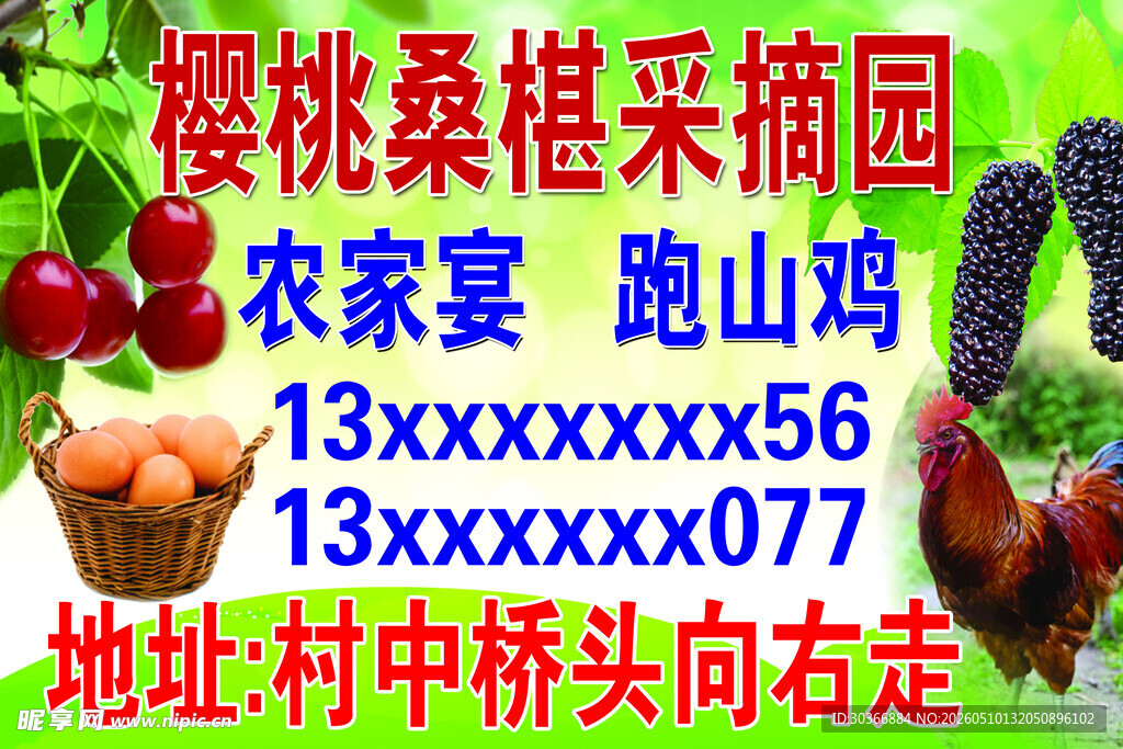 樱桃桑葚采摘园宣传牌
