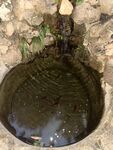 龙王塘 登泉 泉水