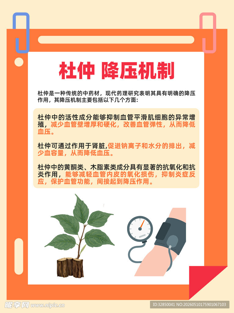 杜仲降压机制科普图