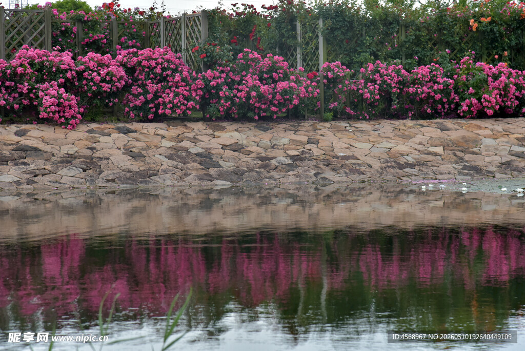 水边繁花倒映美景