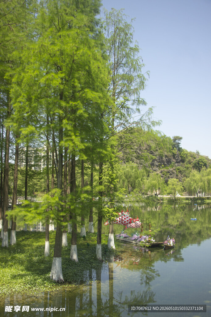 湖畔葱郁林木风景如画