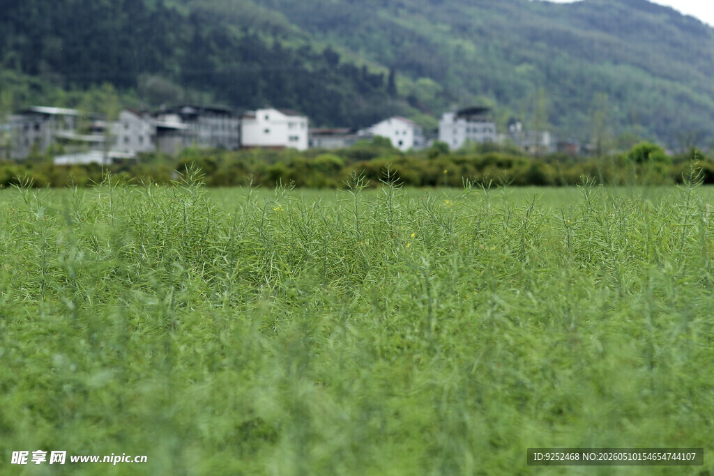村庄 远山 绿野