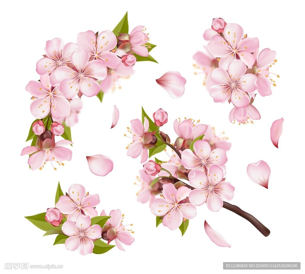 粉色桃花素材