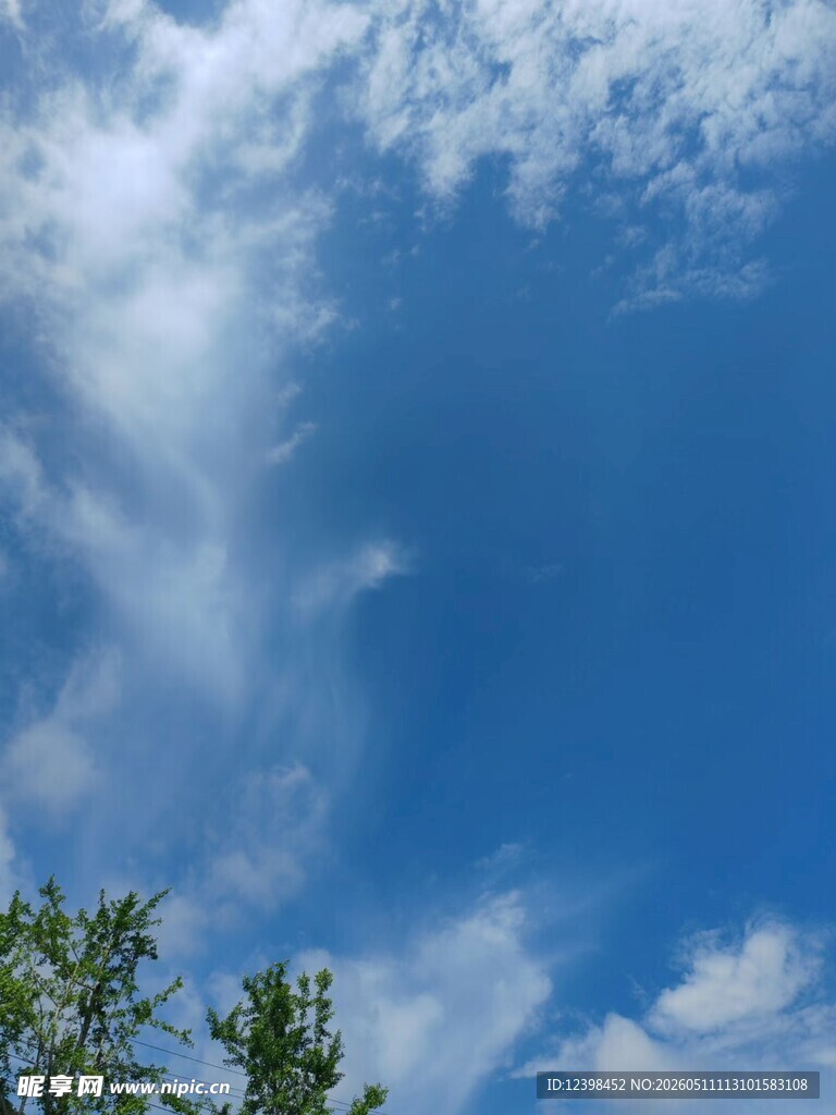 蓝天绿树间的悠悠白云