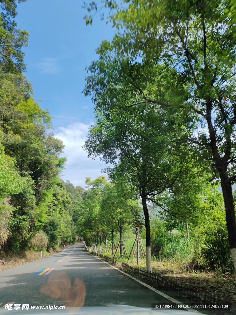 林间公路畅享自然清新