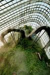 笼中绿植景观