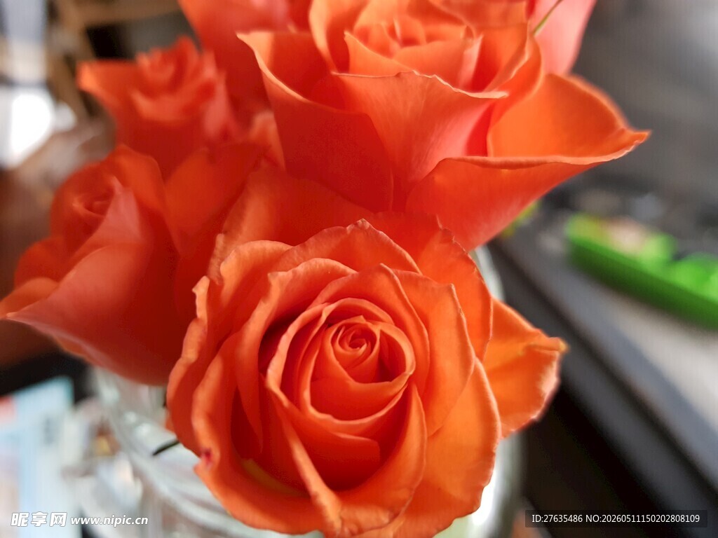 橙色玫瑰插于透明花瓶中