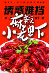 诱惑难挡的麻辣小龙虾
