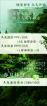 头皮清洁