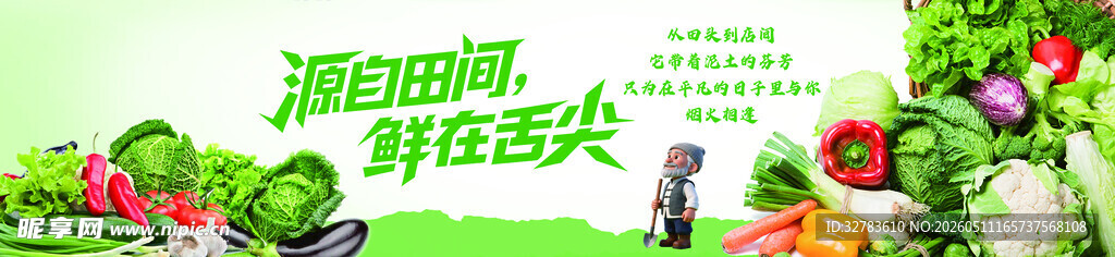 绿色蔬菜  开启健康生活
