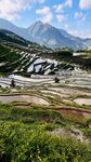 山间梯田美景