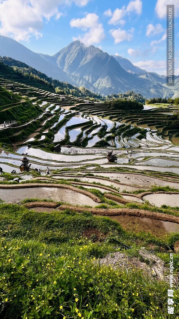 山间梯田美景