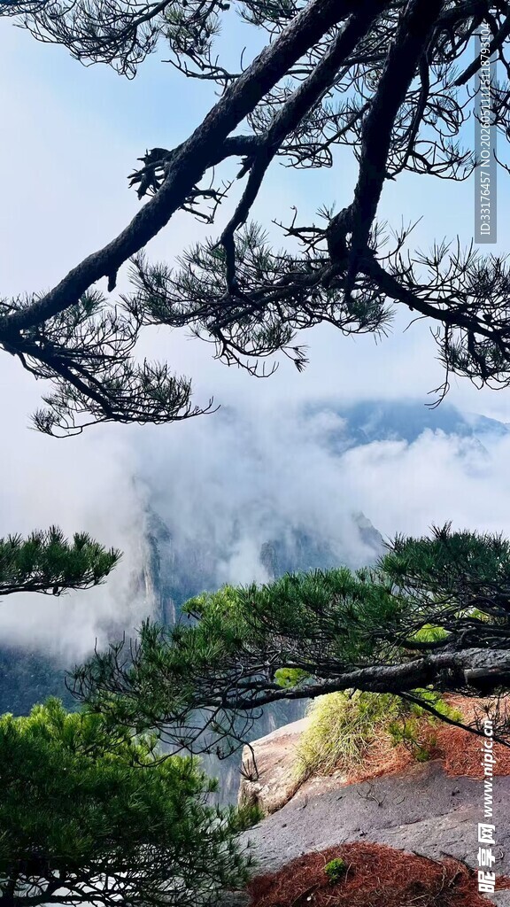 山间云雾缭绕的秀丽景致