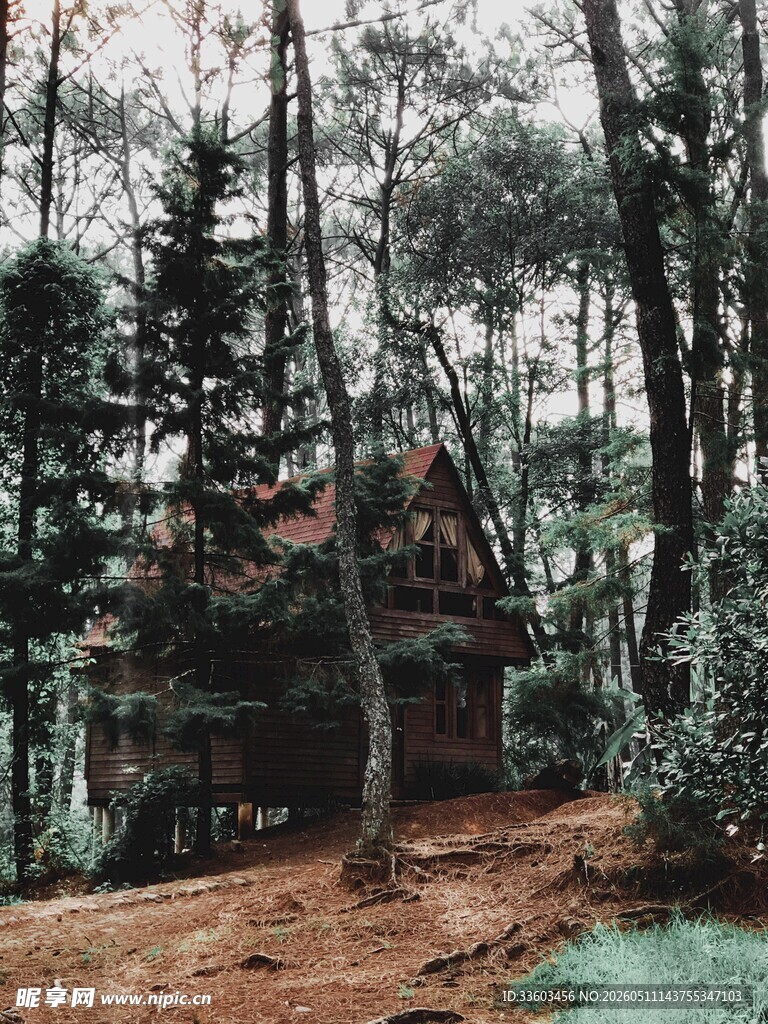 森林中的木屋