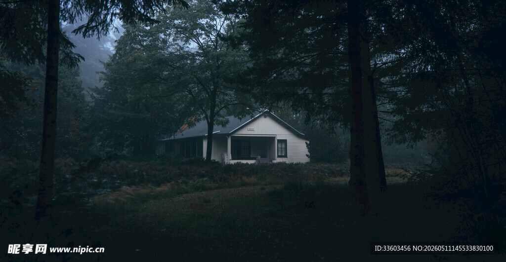 森林中的静谧小屋