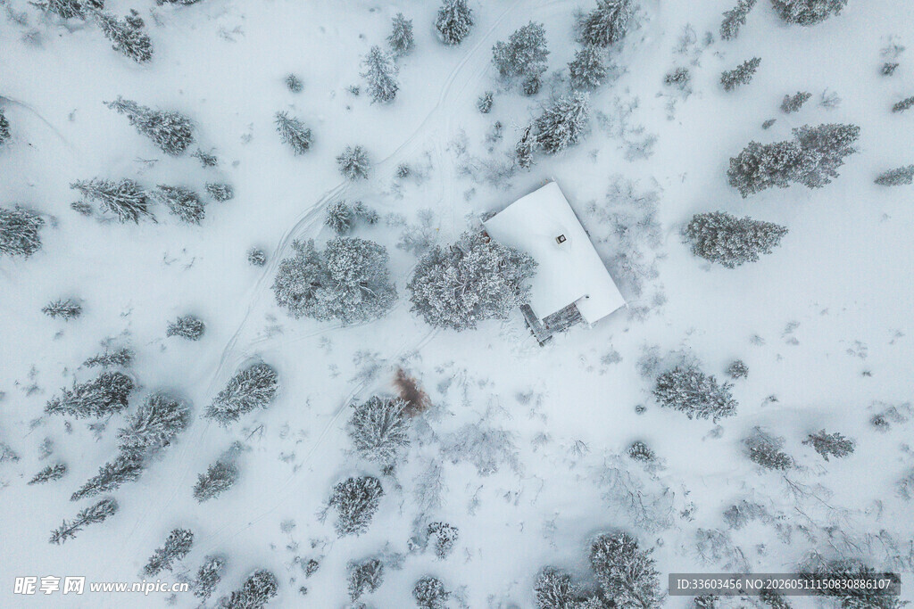 雪地中的小屋及树木景观
