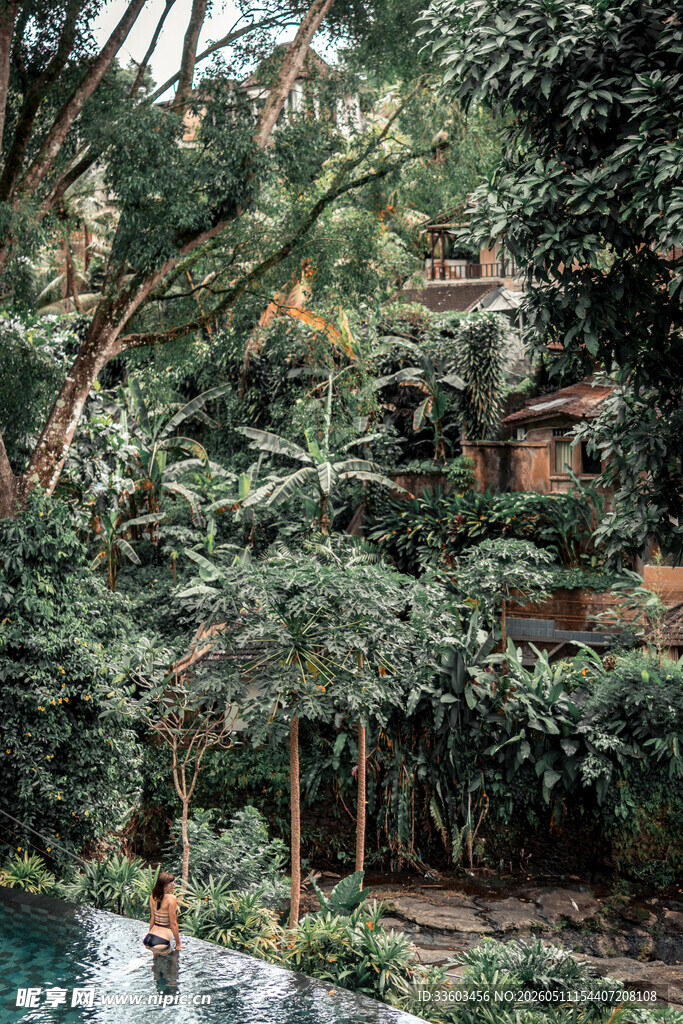 热带绿植环绕的泳池景观