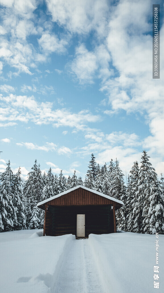 雪覆木屋与松林美景