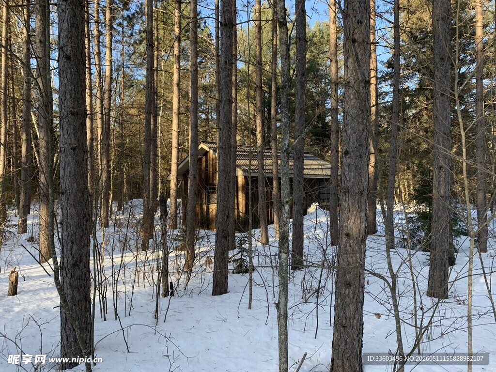 雪林中的木屋