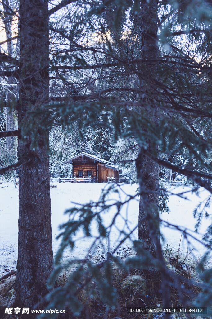 雪林深处的静谧小屋