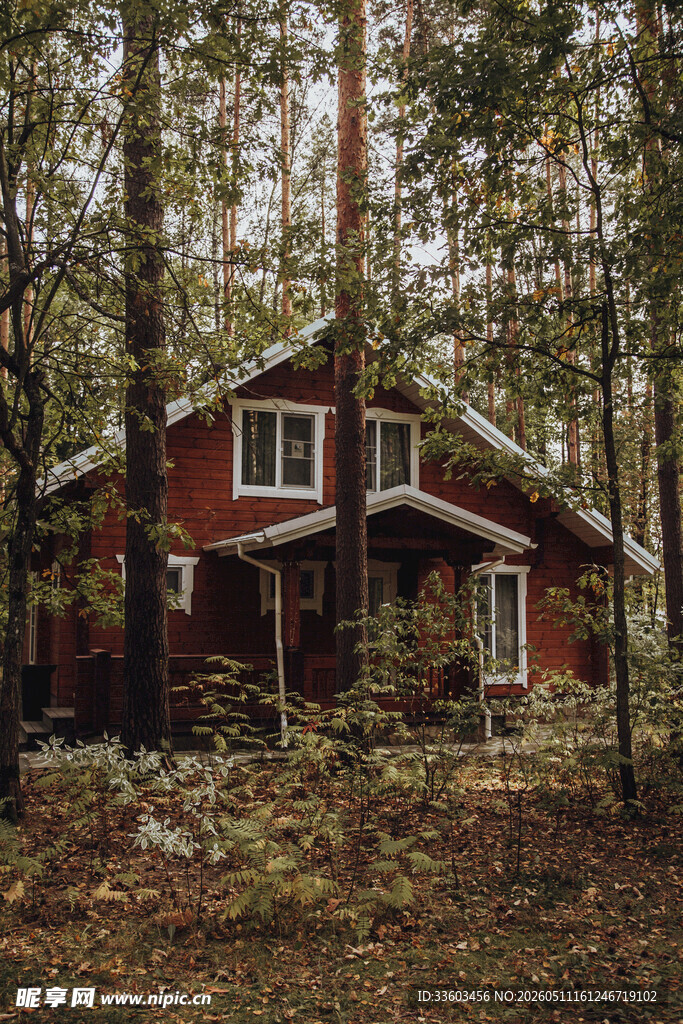 森林中的红色温馨小屋