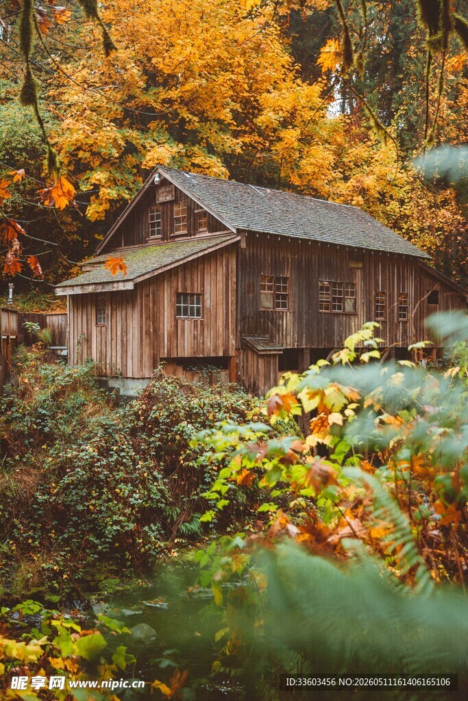 秋日林间木屋美景