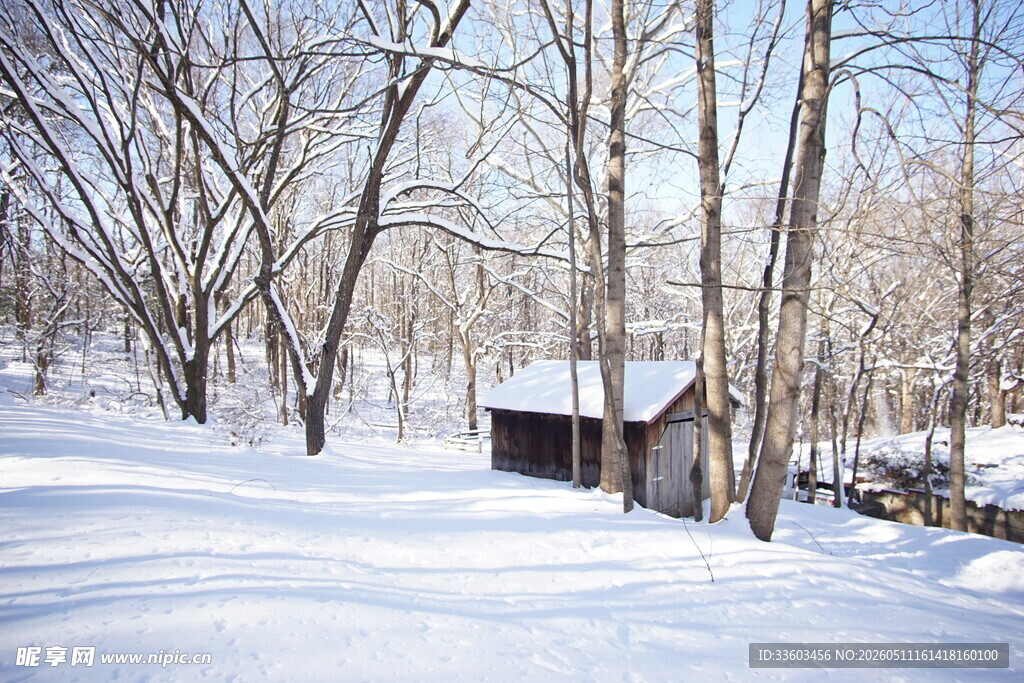 雪覆林间小屋