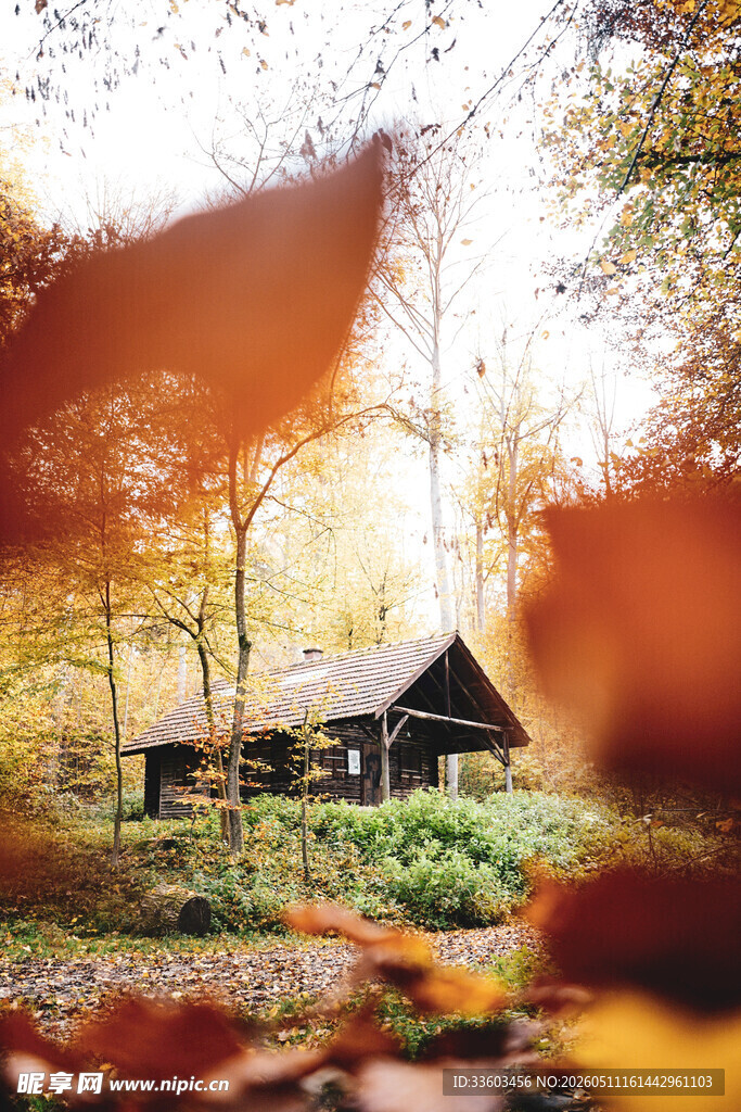秋日林间小屋的静谧景致