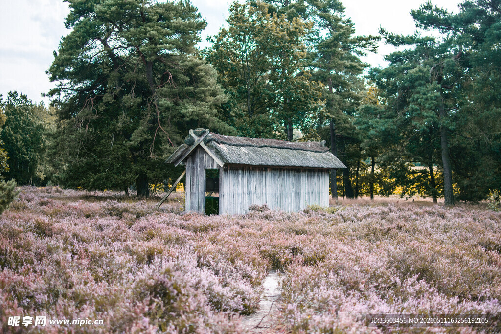原野中的古朴小屋